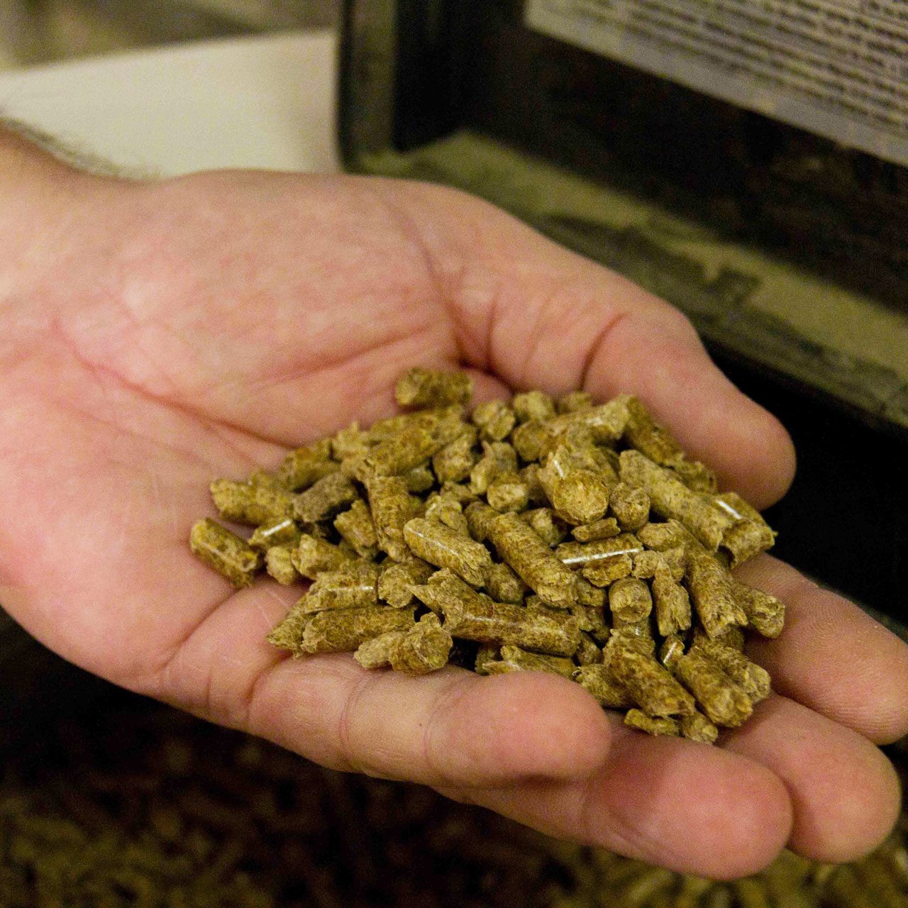 granules-bois granules-bois