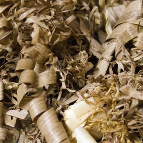 copeaux de bois